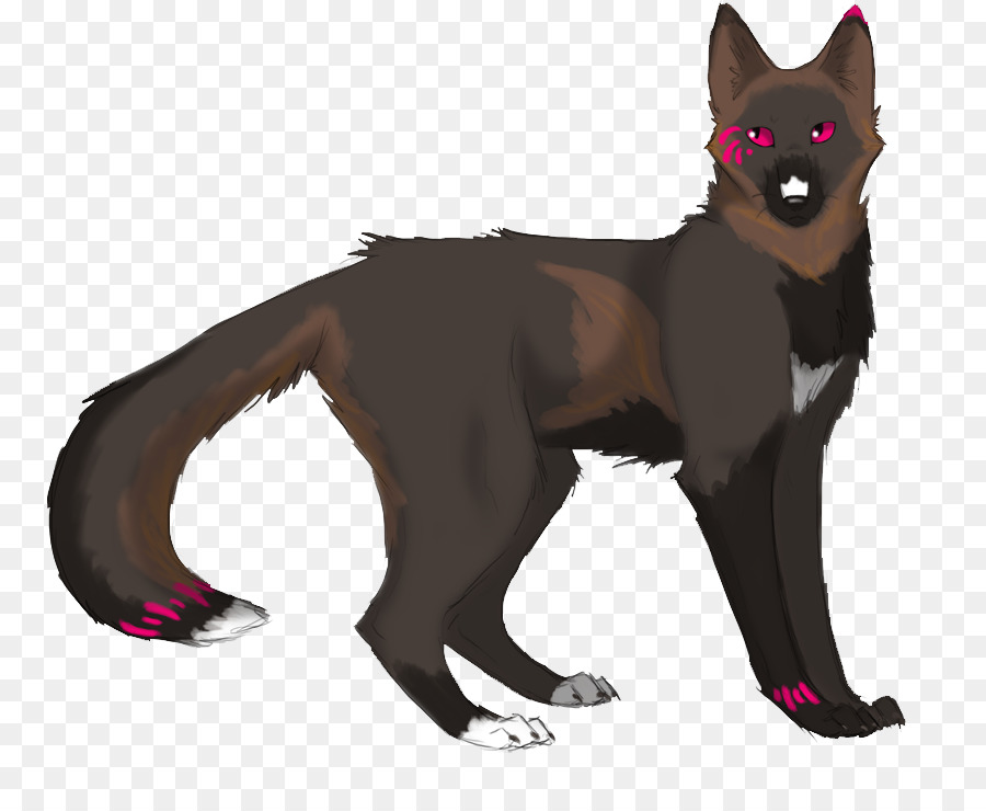 Perro，Gato PNG