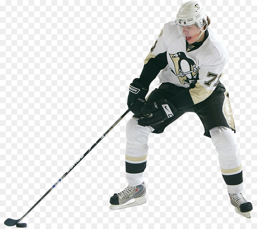 Pingüinos De Pittsburgh，La Liga Nacional De Hockey PNG