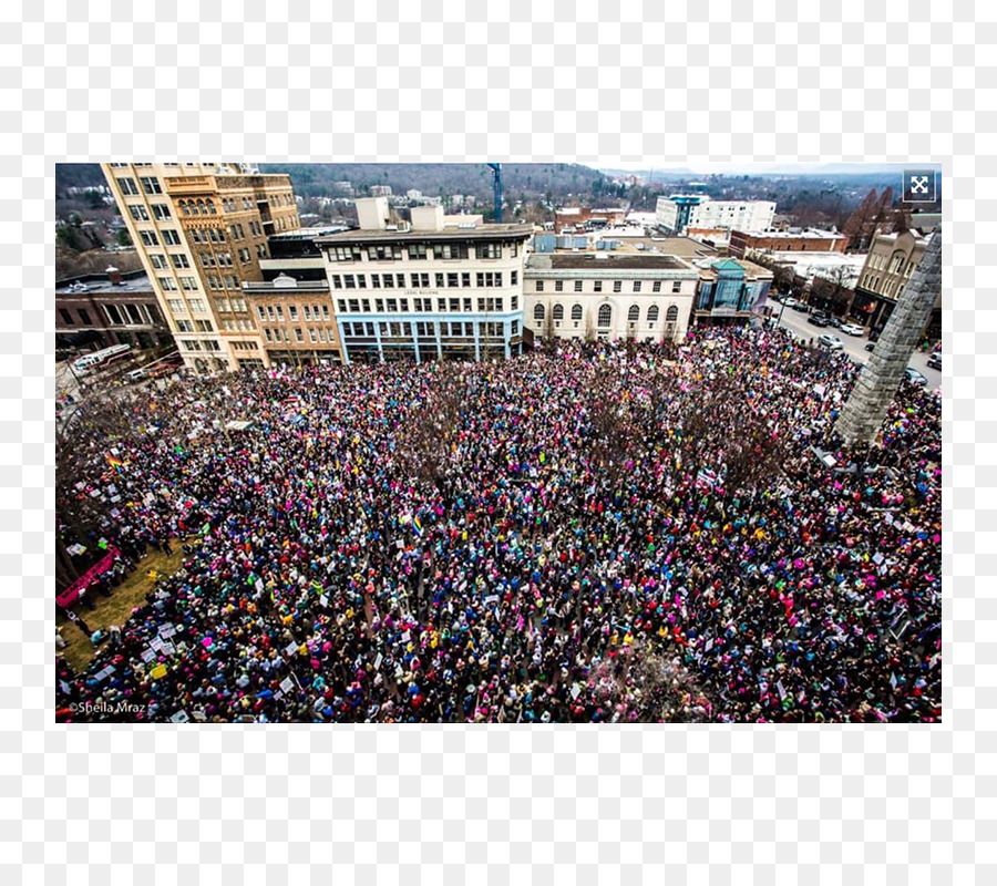 Asheville，2017 Marcha De Mujeres PNG