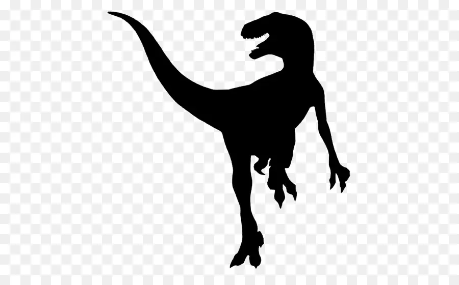 Velociraptor，Dinosaurio PNG