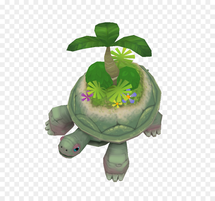 Tortuga，Animal PNG