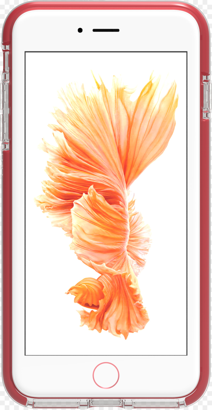 El Iphone 6，Apple PNG