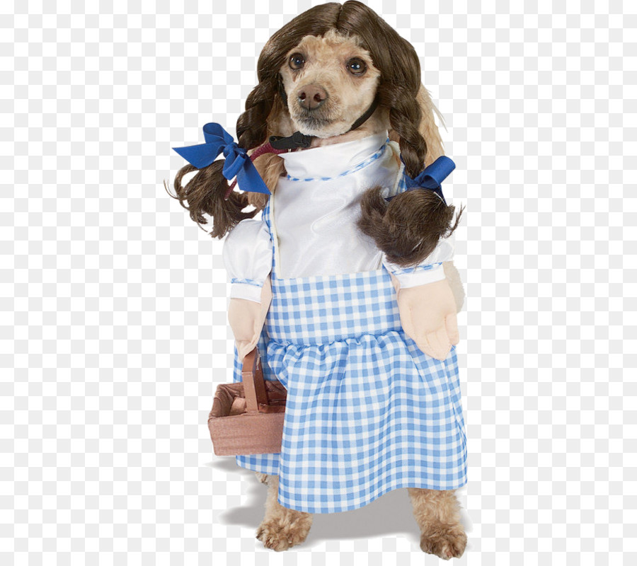 Perro，Cachorro PNG