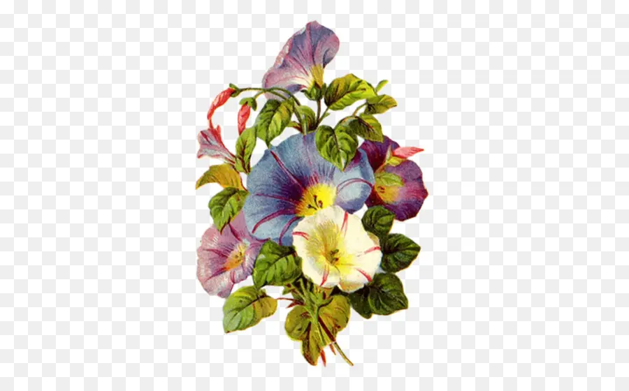 Flores，Ramo PNG