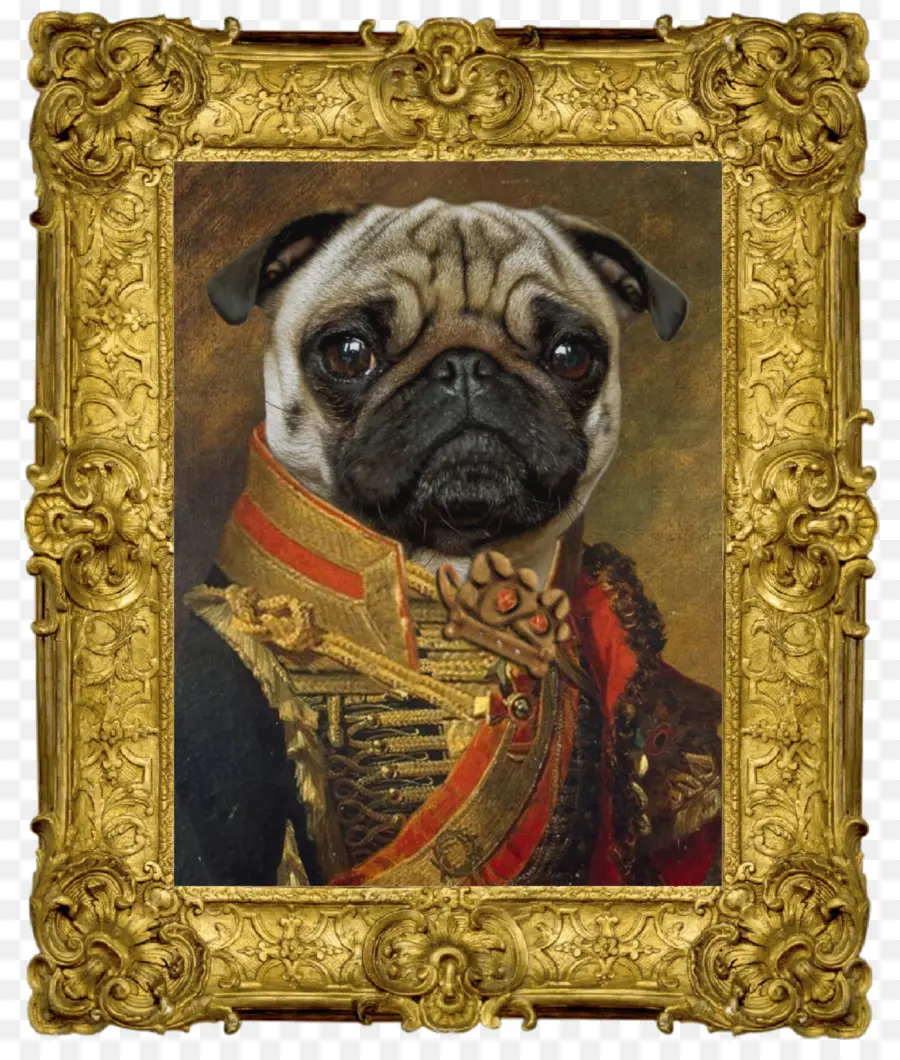 Pug，Raza De Perro PNG