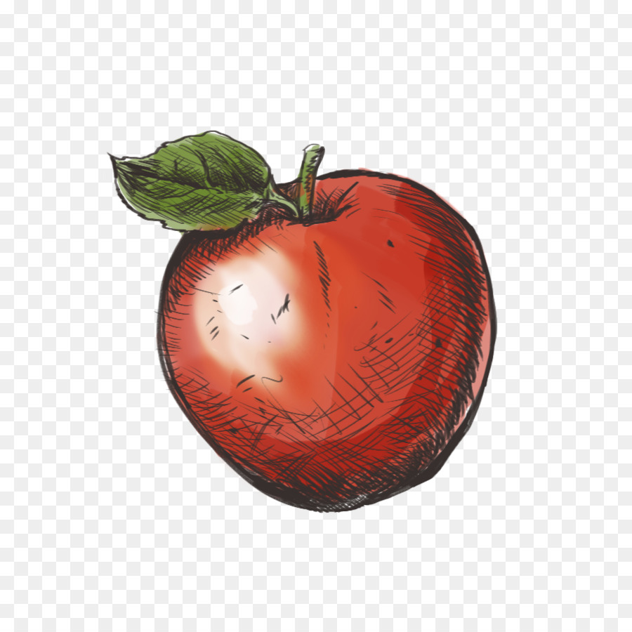 Durazno，Fruta PNG