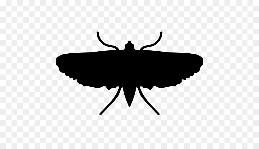 Volar，Bicho PNG