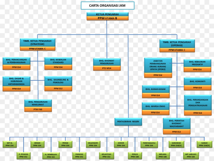 Organización，El Departamento De Bienestar Social PNG