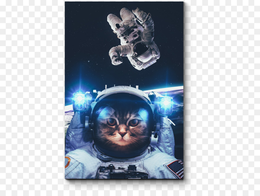 Gato Astronauta，Espacio PNG