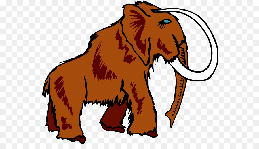 León，El Elefante Africano PNG