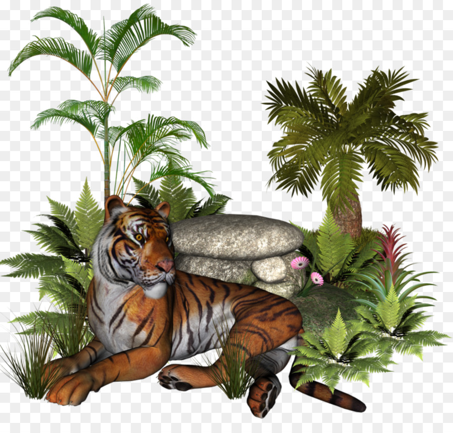 Tigre，Planta PNG