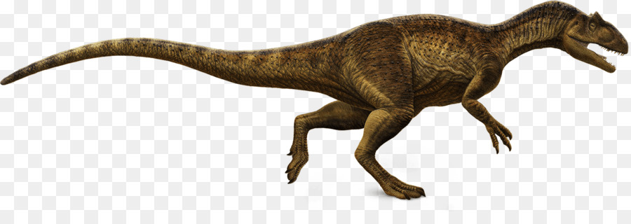 Tiranosaurio，Dinosaurio PNG