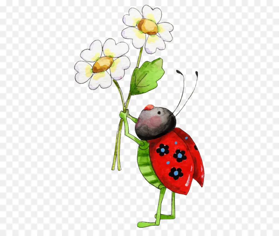 Los Insectos，Mariquita PNG