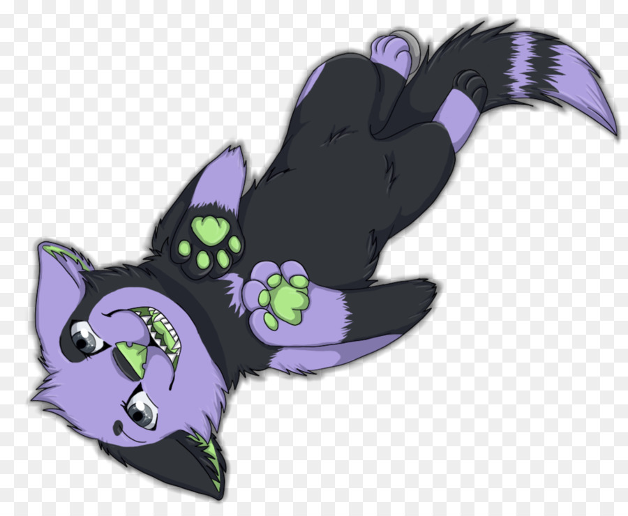 Gato，Caballo PNG