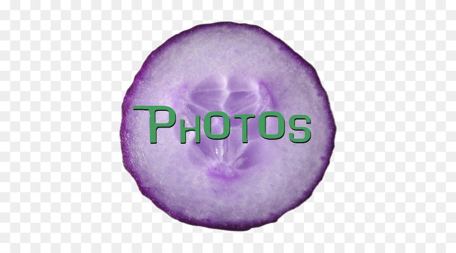 Pepino，Texto PNG