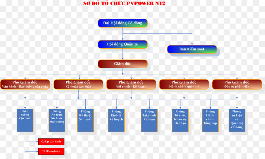 Organigrama，Estructura PNG