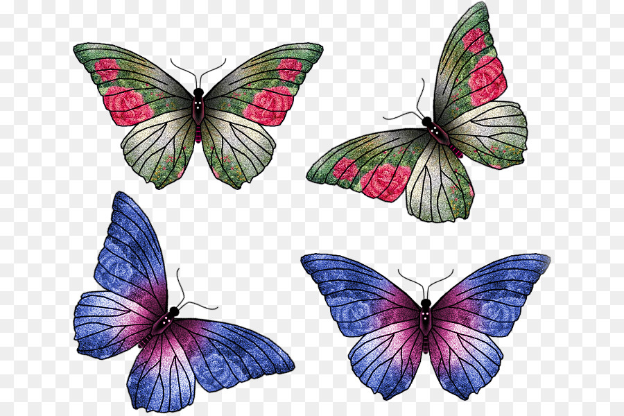 Mariposas，Alas PNG