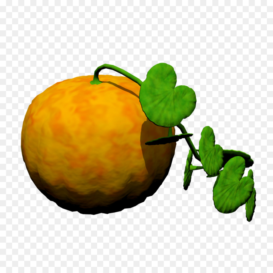 La Calabaza，Calabaza De Invierno PNG