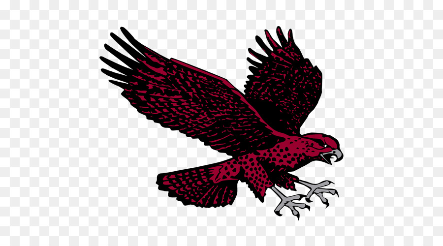 La Universidad De Maryland Eastern Shore，Maryland Eastern Shore Halcones Del Baloncesto De Los Hombres PNG