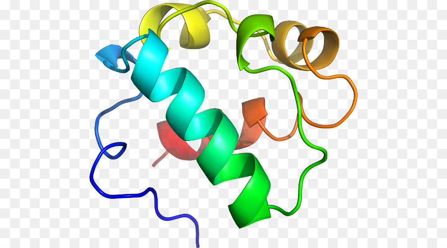 Estructura Proteica，Molécula PNG