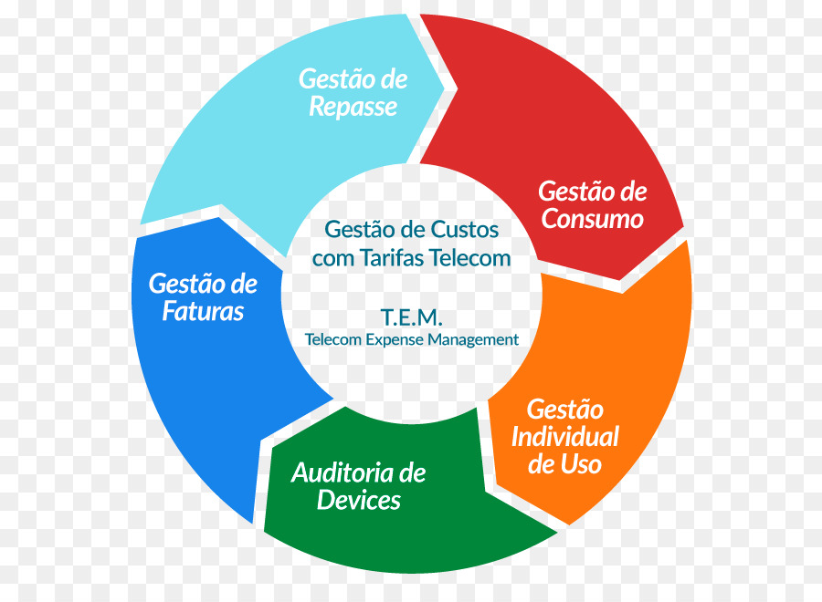 Los Sistemas De Ciclo De Vida De Desarrollo，Ciclo De Vida Biológico PNG