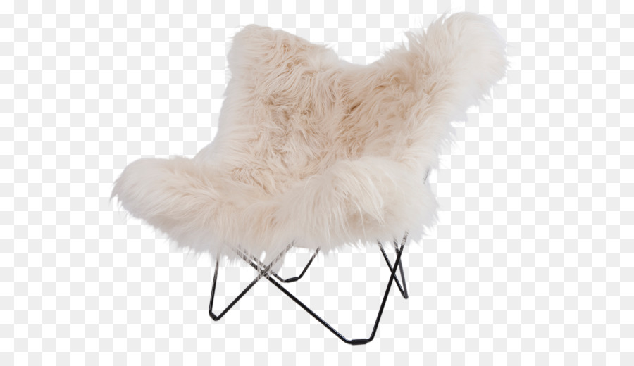 Eames，Mariposa De La Silla PNG