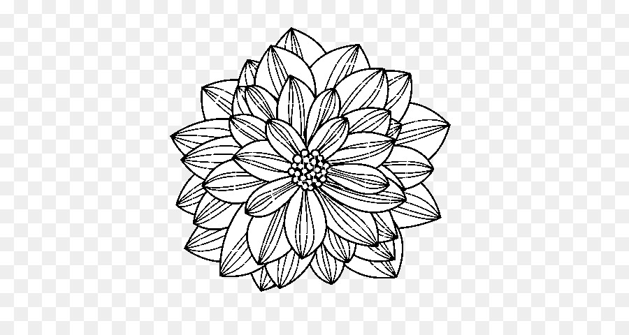 Diseño Floral，Dibujo PNG