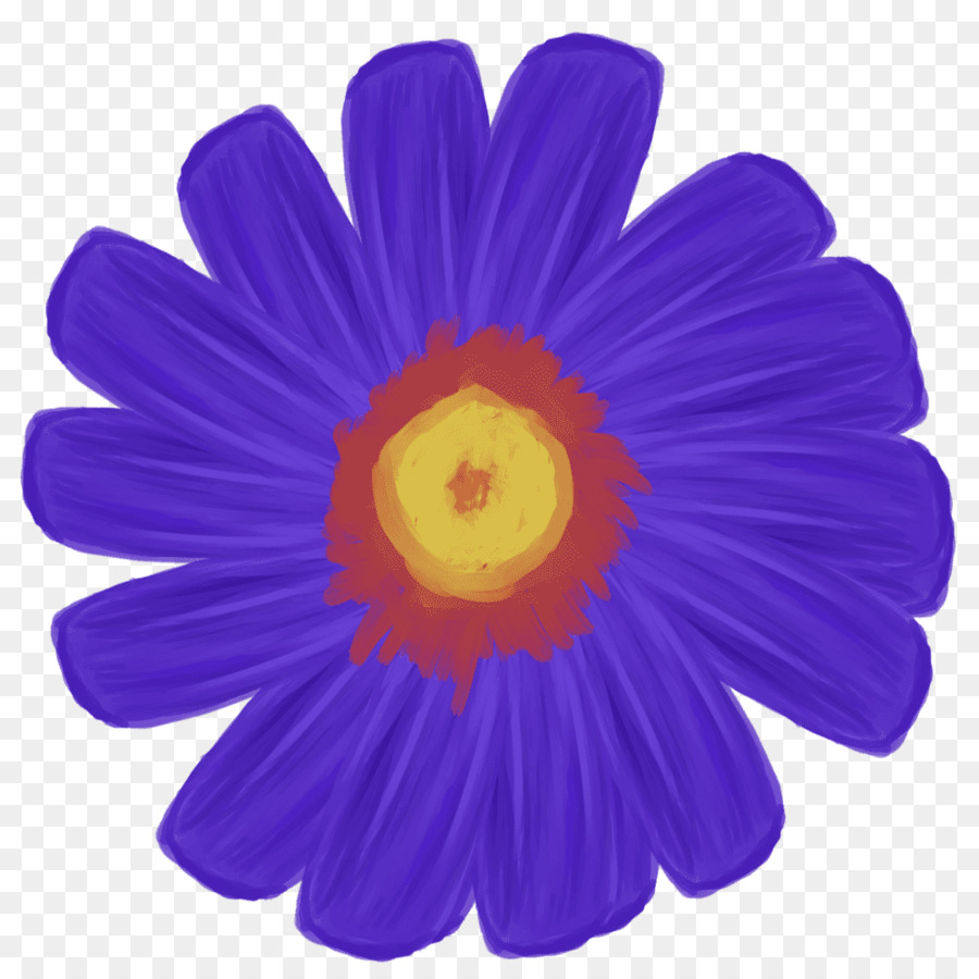 Transvaal Daisy，Pintura A La Acuarela PNG