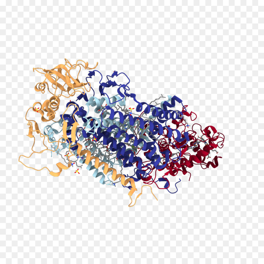 Estructura Proteica，Molécula PNG