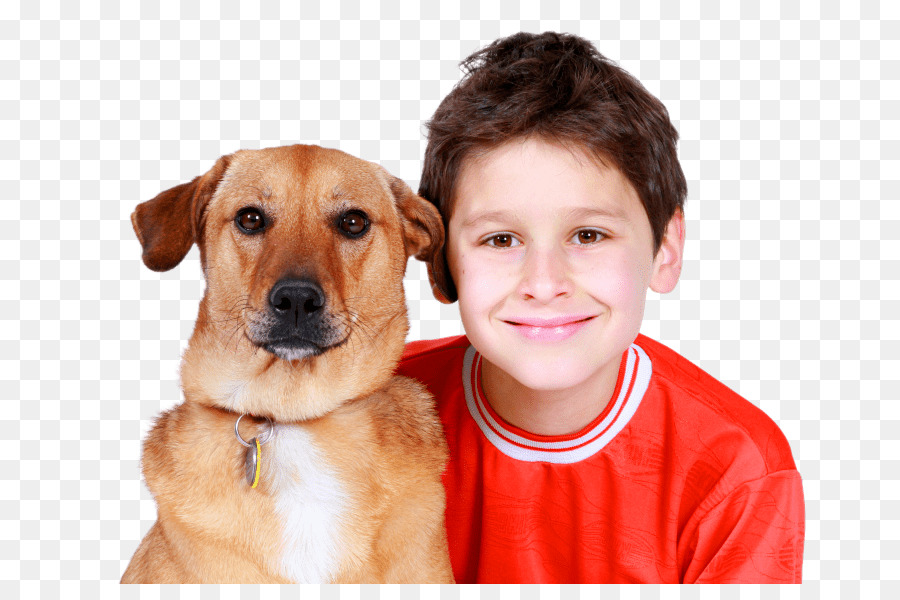 Niño Y Perro，Niño PNG