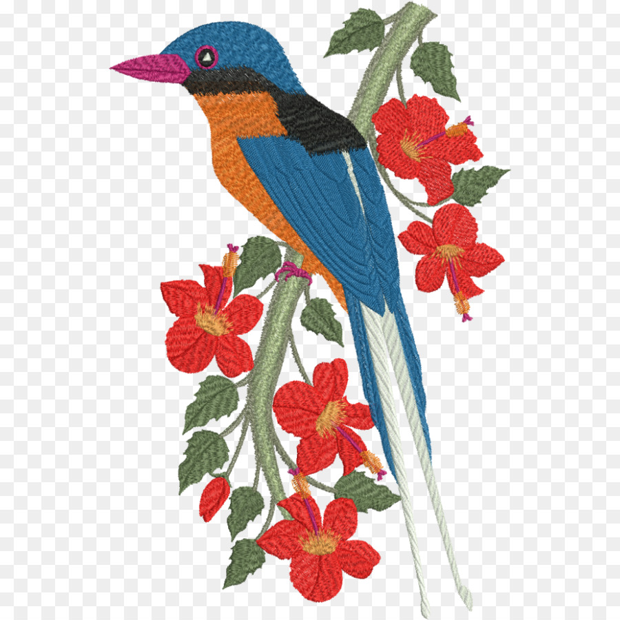 Kingfisher，Aves PNG