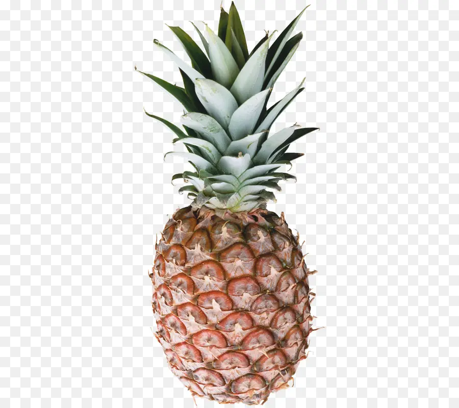 Piña，Piña Colada PNG