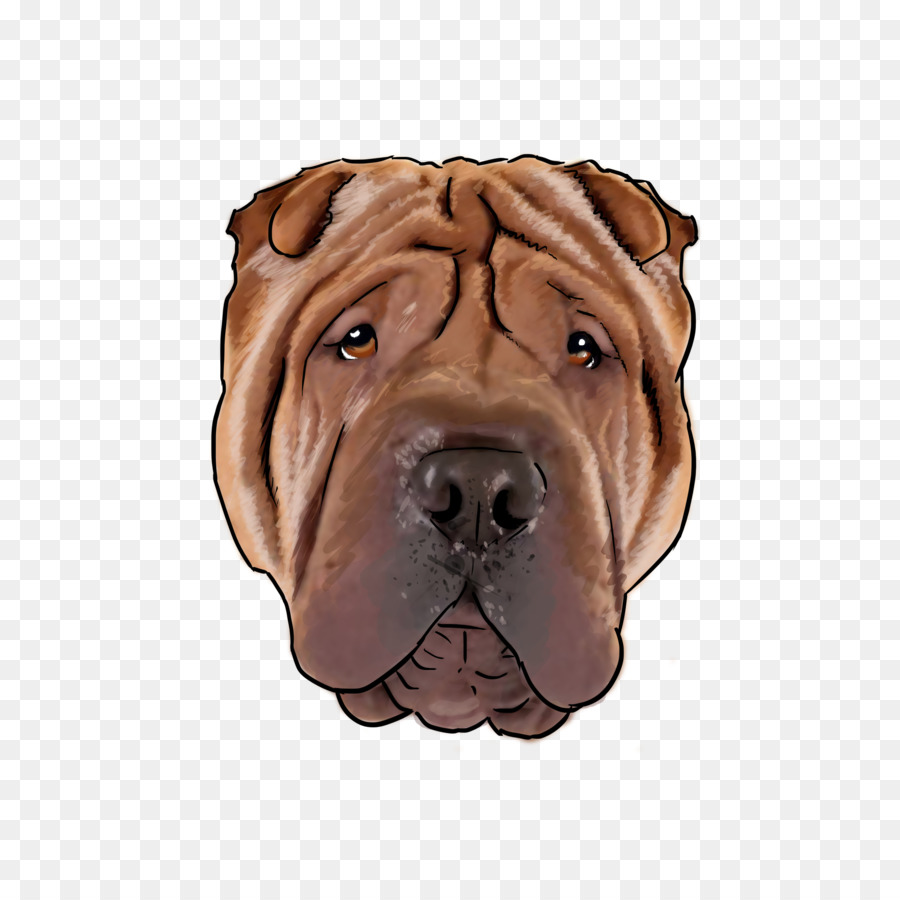 Shar Pei，Raza De Perro PNG