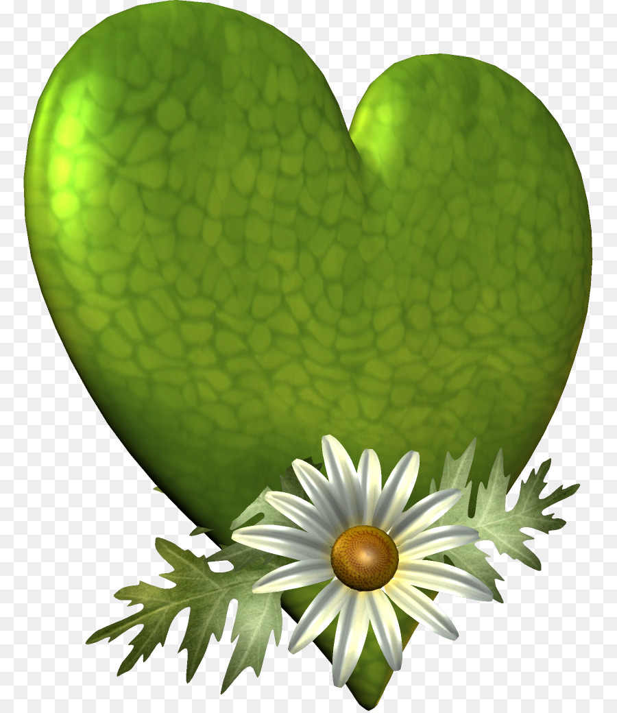 Corazón，Hoja PNG