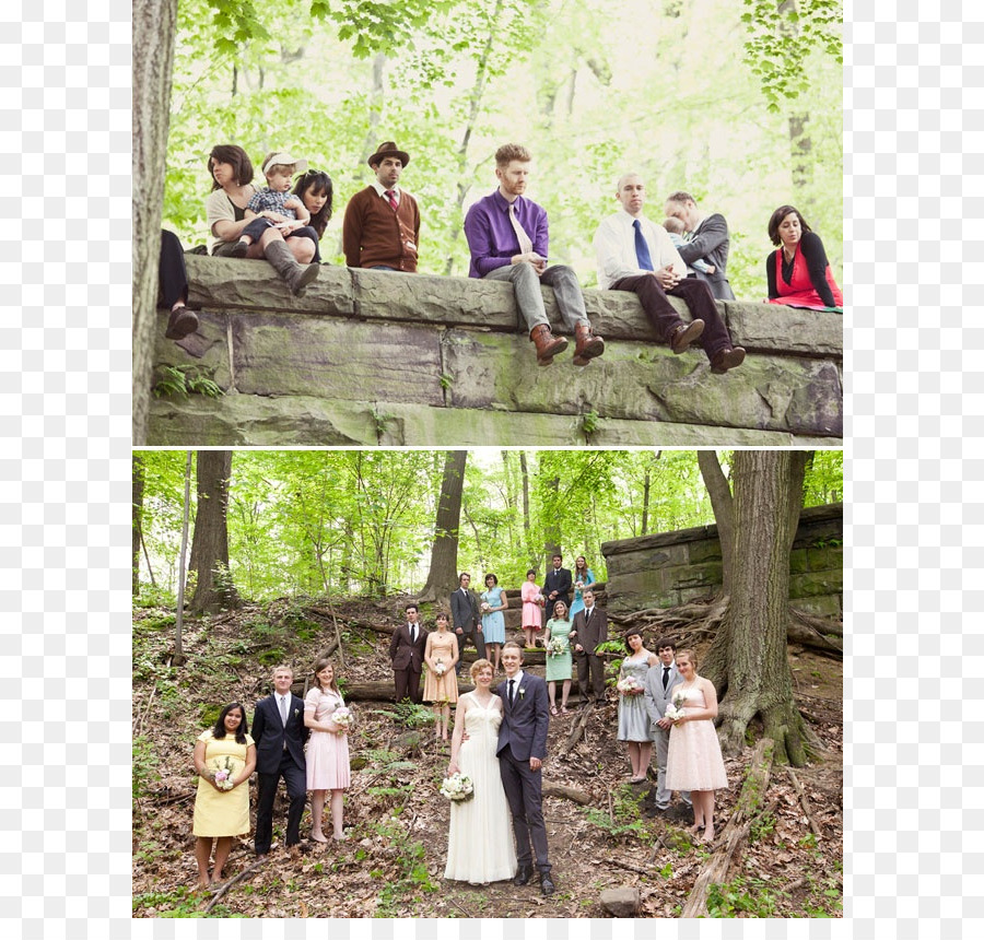 La Boda，Verde De La Boda PNG