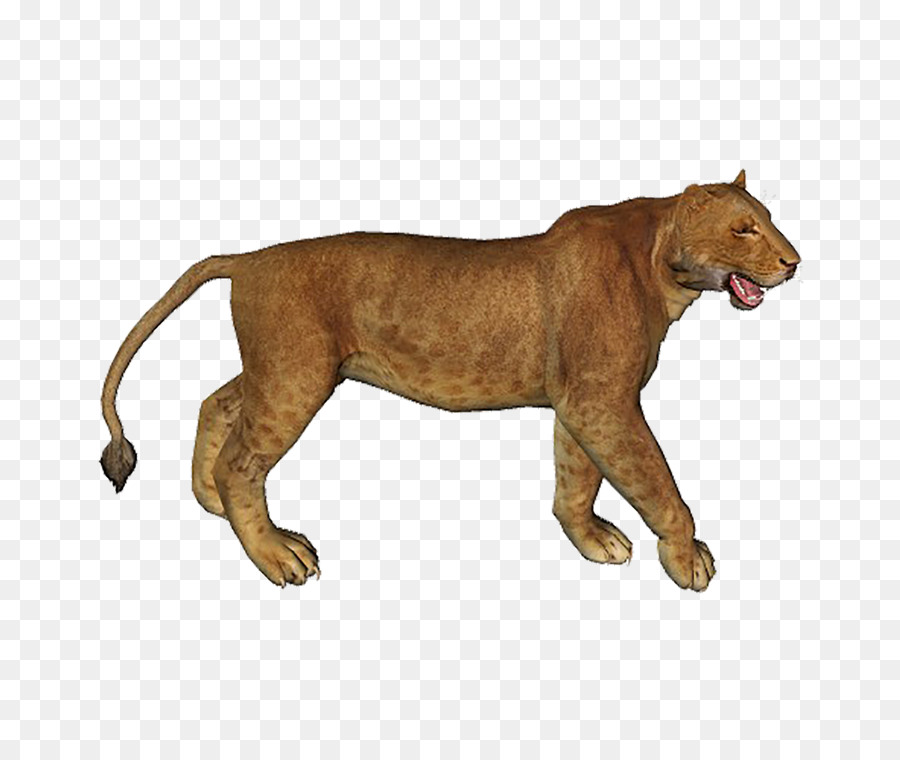 León，Postscript Encapsulado PNG