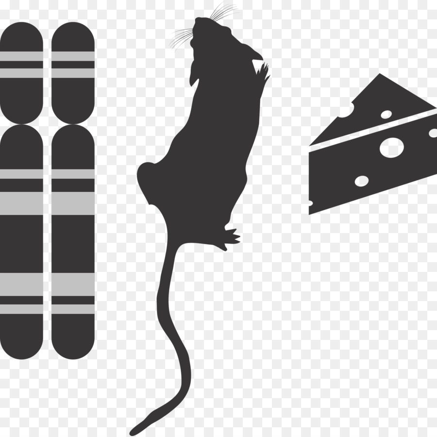 Raton Y Queso，Animal PNG