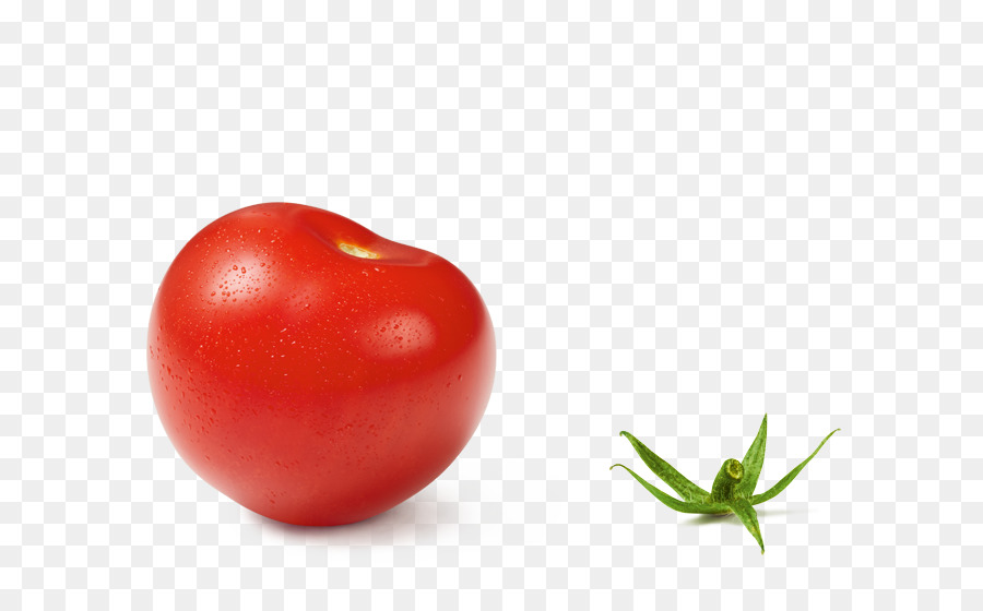 Tomate Ciruela，Bush Tomate PNG