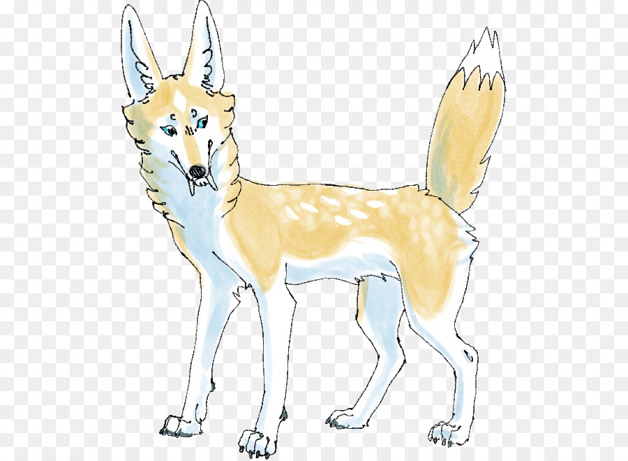 Perro Lobo Checoslovaco，Dingo PNG