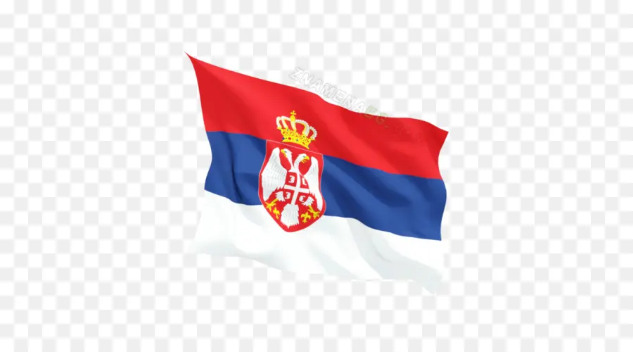 Negocio De Alta Škola Strukovnih Studija Leskovac，Bandera PNG