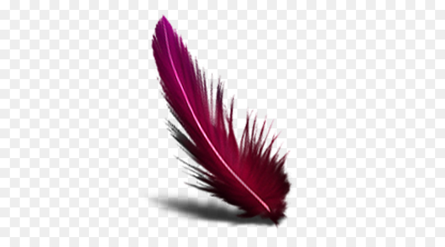 Pluma，Ratón De Computadora PNG