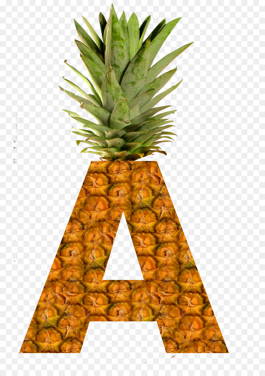 Piña，Succade PNG