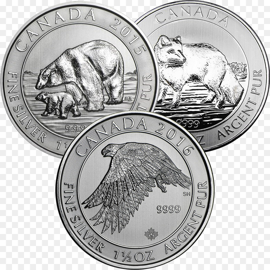 Canadá，Moneda De Plata PNG