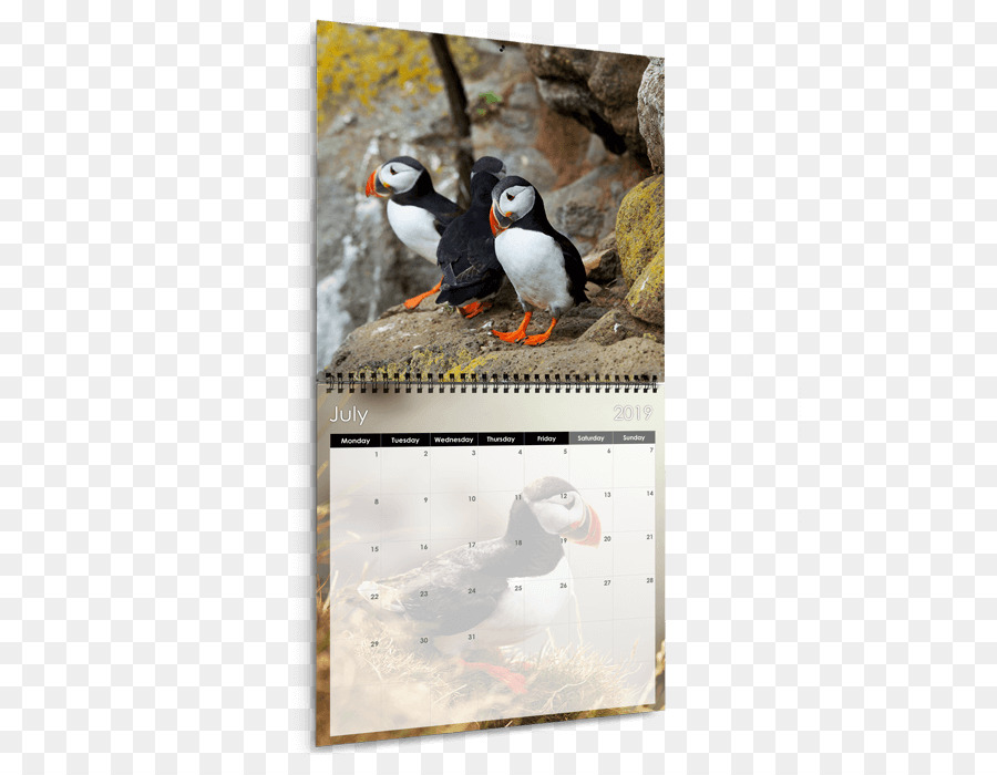 Calendario，La Fotografía PNG