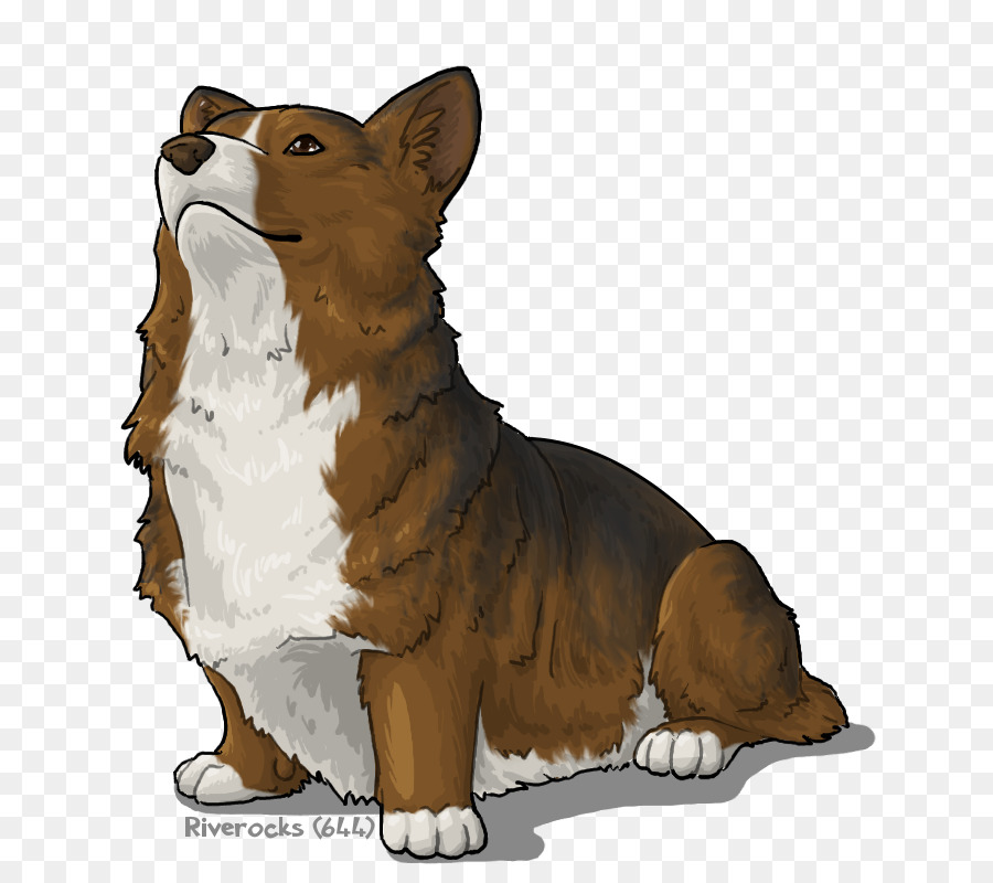 Pembroke Welsh Corgi，Gales PNG