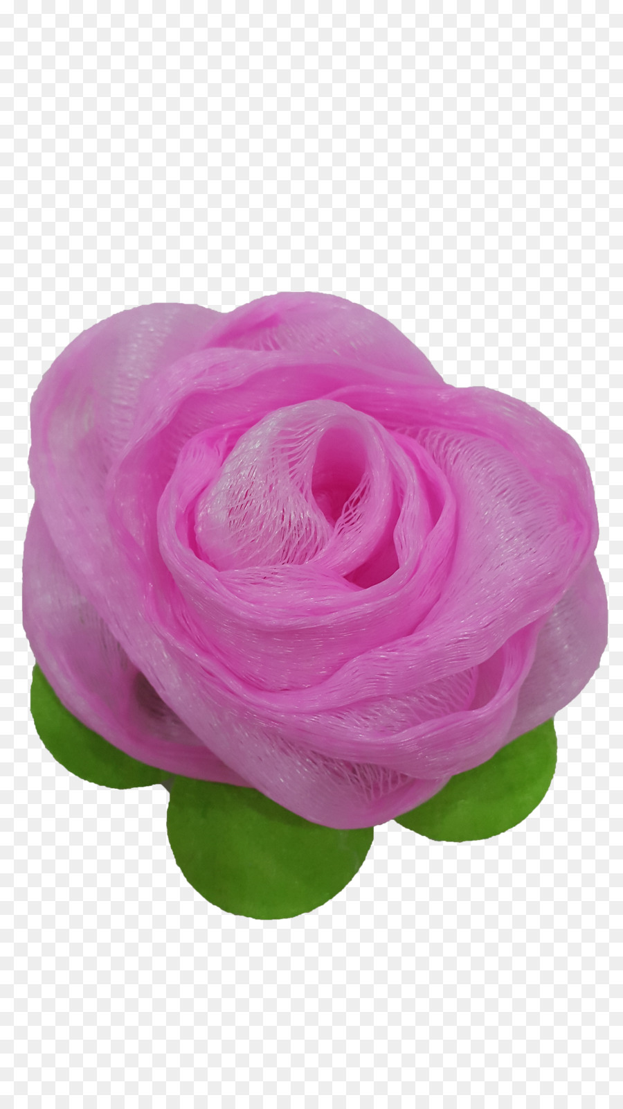 Las Rosas De Jardín，Col Rosa PNG