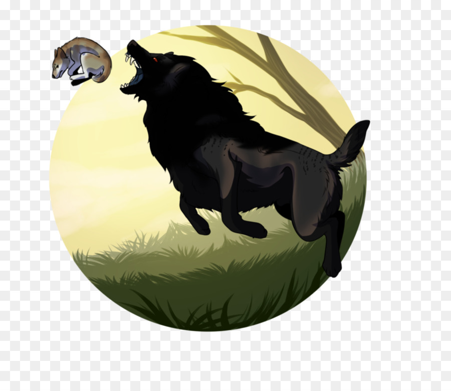 Raza De Perro，Schipperke PNG