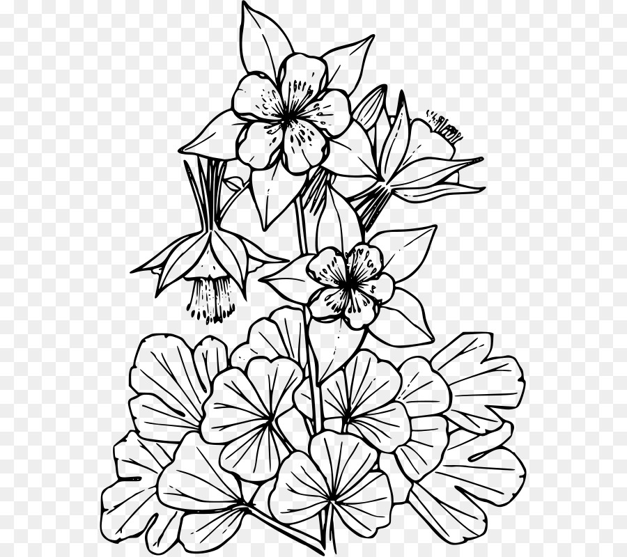 Bosquejo De Flores，Dibujo PNG