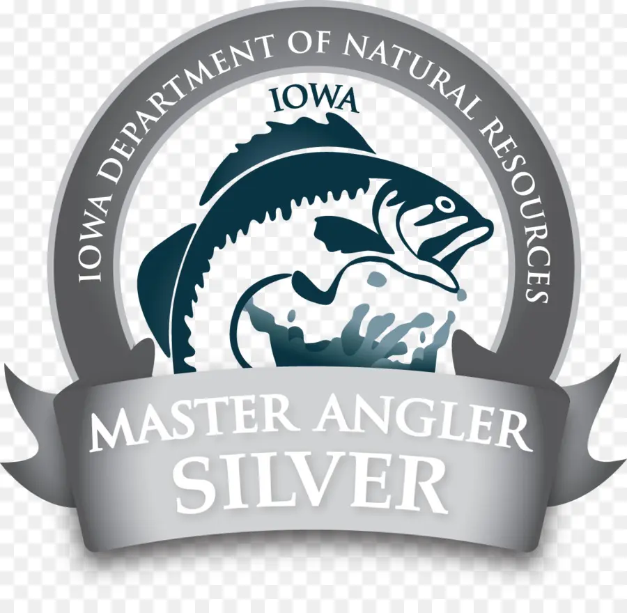 Insignia De Plata De Maestro Pescador，Pesca PNG