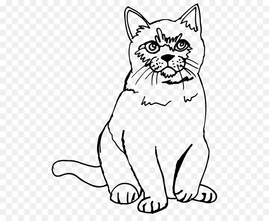 Gato，En Blanco Y Negro PNG